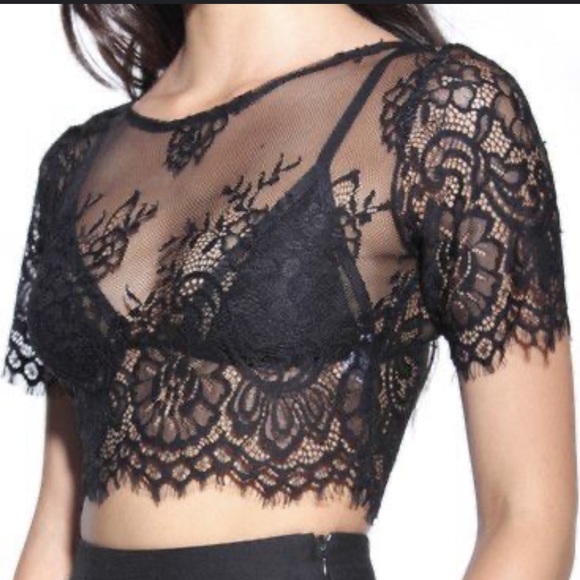 SEEK Black Lace Crop Top - Picture 2 of 8